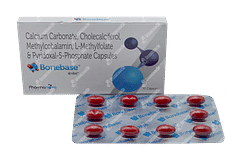 Bonebase Capsule 10 Bonebase Capsule 10