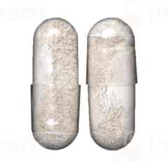Gnorm Capsule 6