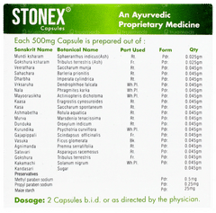 Stonex Capsule 10
