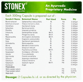 Stonex Capsule 10