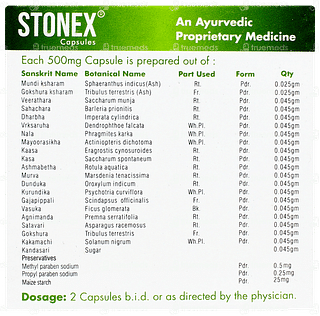 Stonex Capsule 10