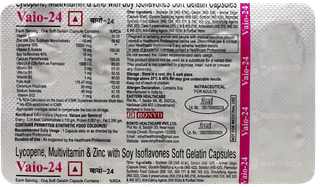 Vaio 24 Capsule 10