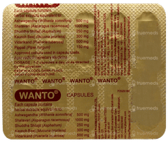 Wanto Capsule 10