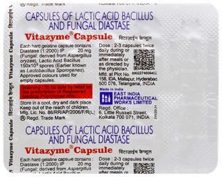 Vitazyme Capsule 10