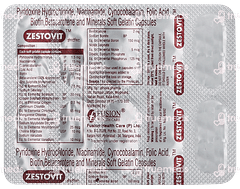 Zestovit Capsule 10