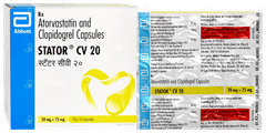 Stator Cv 20 Capsule 15