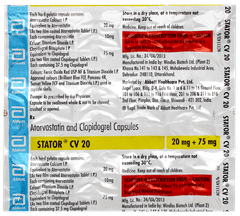 Stator Cv 20 Capsule 15 Stator Cv 20 Capsule 15