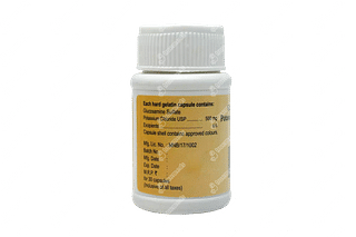 Cartigen 500 MG Capsule 30