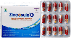 Zincosule 4G Capsule 15 Zincosule 4G Capsule 15