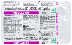 Vizylac Gg Capsule 10