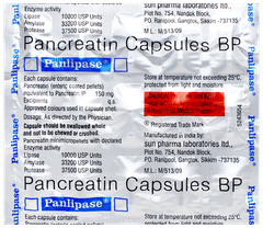 Panlipase Capsule 15
