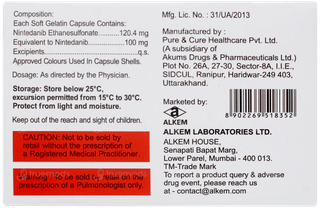 Fibnib 100 Capsule 10