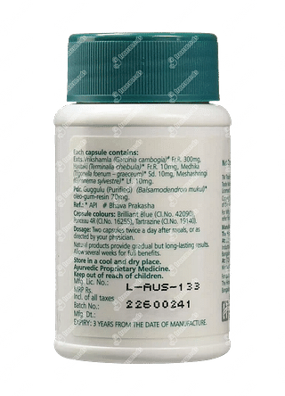 Himalaya Ayurslim Capsule 60