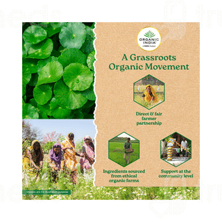 Organic India Brahmi Capsule 60