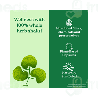 Organic India Brahmi Capsule 60