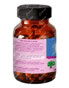 Organic India Amalaki Capsule 60