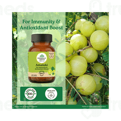 Organic India Amalaki Capsule 60