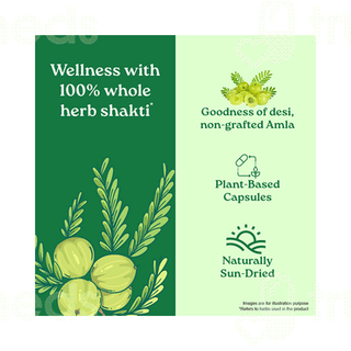 Organic India Amalaki Capsule 60