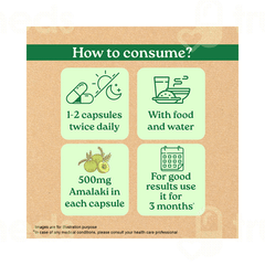 Organic India Amalaki Capsule 60
