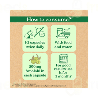 Organic India Amalaki Capsule 60