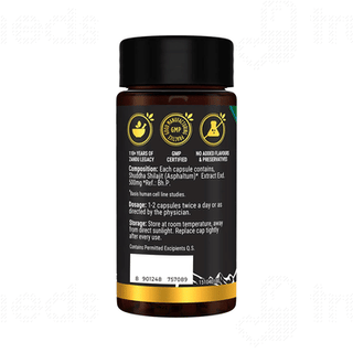 Zandu Shilajit Capsule 60