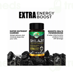 Zandu Shilajit Capsule 60