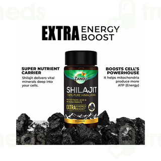 Zandu Shilajit Capsule 60
