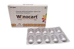 Winocart Tablet 10