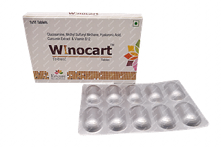 Winocart Tablet 10