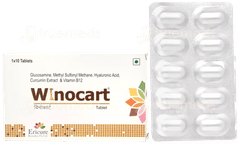 Winocart Tablet 10