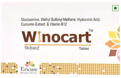 Winocart Tablet 10
