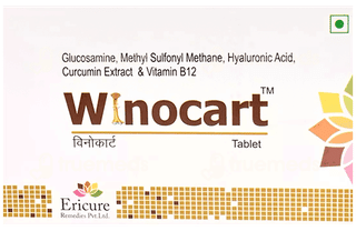 Winocart Tablet 10