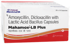 Mahamox Lb Plus Capsule 10