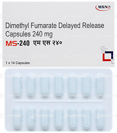 Ms 240 Capsule 14