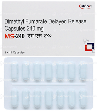 Ms 240 Capsule 14