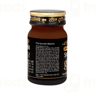 Baidyanath Shilajit Gold Capsule 20