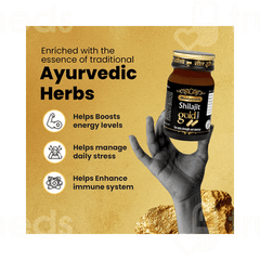 Baidyanath Shilajit Gold Capsule 20