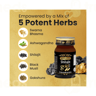 Baidyanath Shilajit Gold Capsule 20