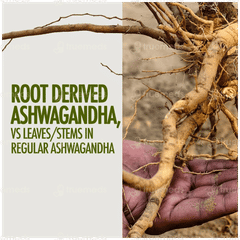 Kapiva Ayur Foods Ashwagandha Gold Capsule 60