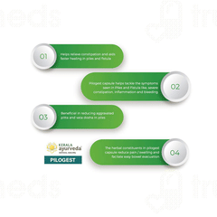 Kerala Ayurveda Pilogest Capsule 100