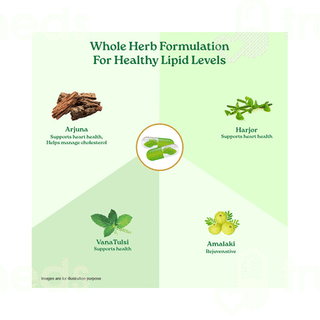 Organic India Lipid Care Veg Capsule 60