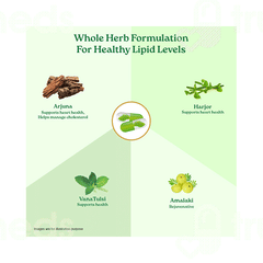 Organic India Lipid Care Veg Capsule 60