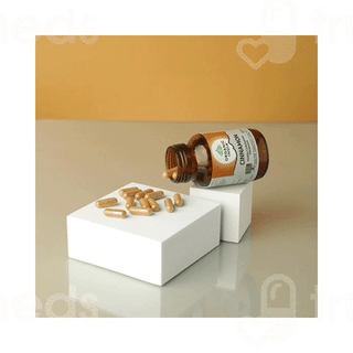 Organic India Cinnamon Capsule 60