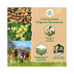Organic India Triphala Veg Capsule 60