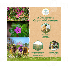 Organic India Sugar Balance Capsule 60