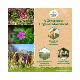 Organic India Sugar Balance Capsule 60