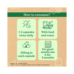 Organic India Sugar Balance Capsule 60