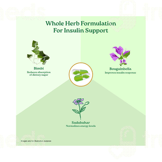 Organic India Sugar Balance Capsule 60