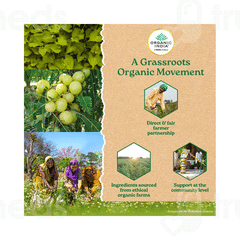 Organic India Weight Balance Capsule 60