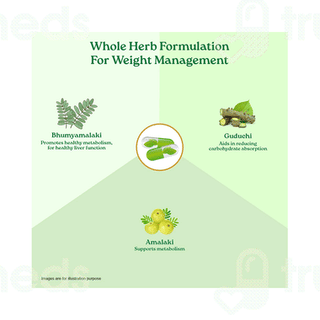 Organic India Weight Balance Capsule 60